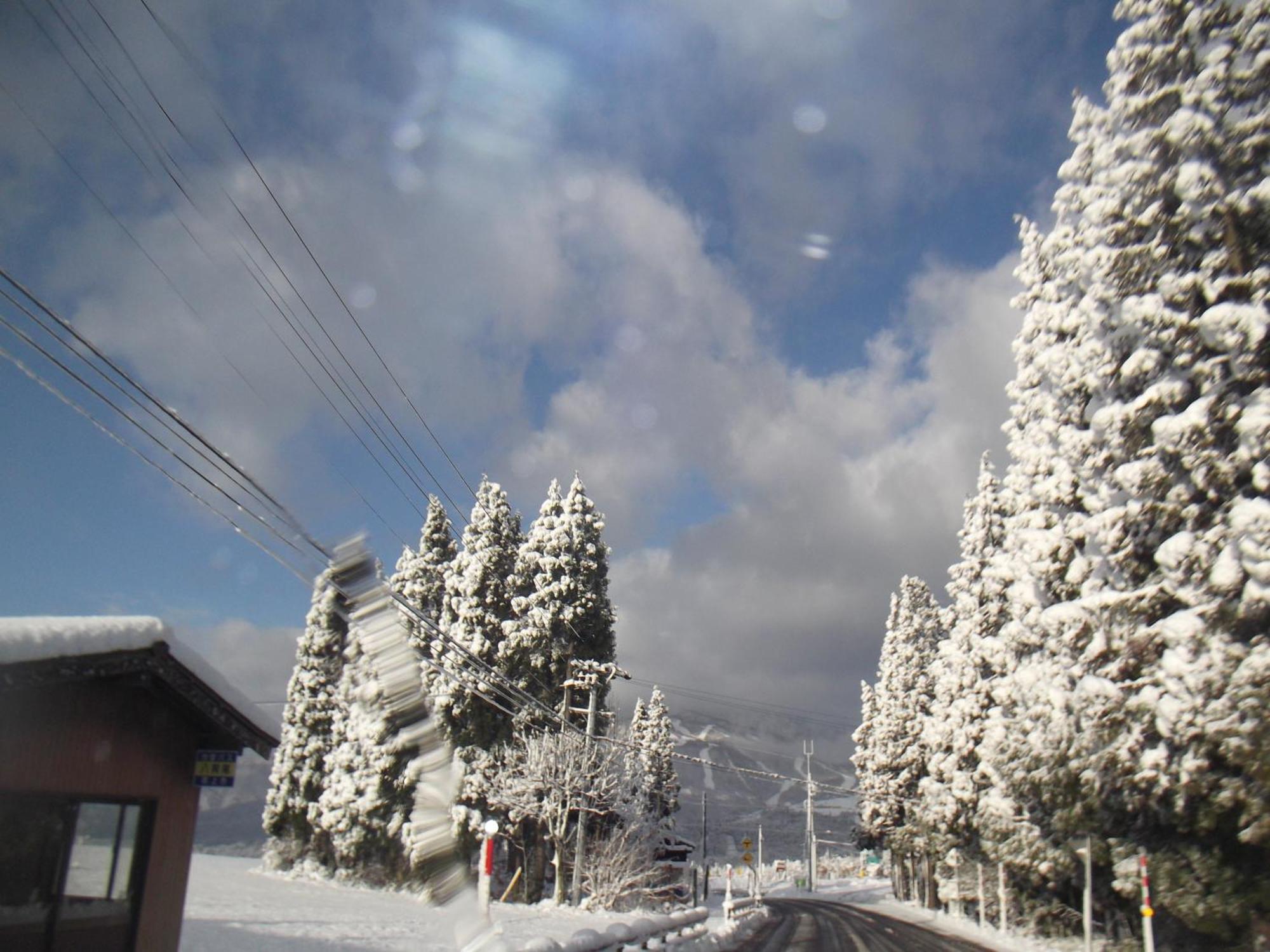 Pension Green Lake Gujo Exterior foto